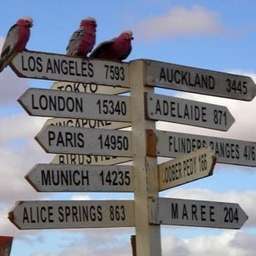 Photo: Guidepost Tours